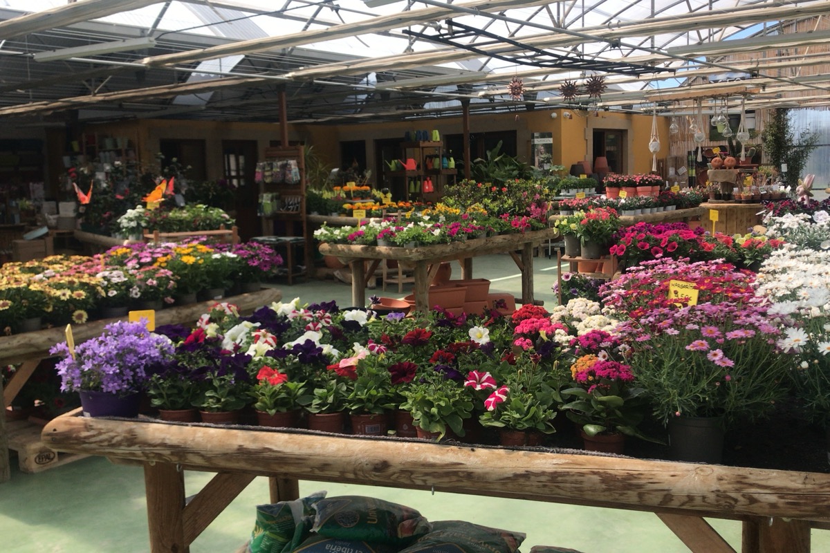 Jardinería Viveros Oliván