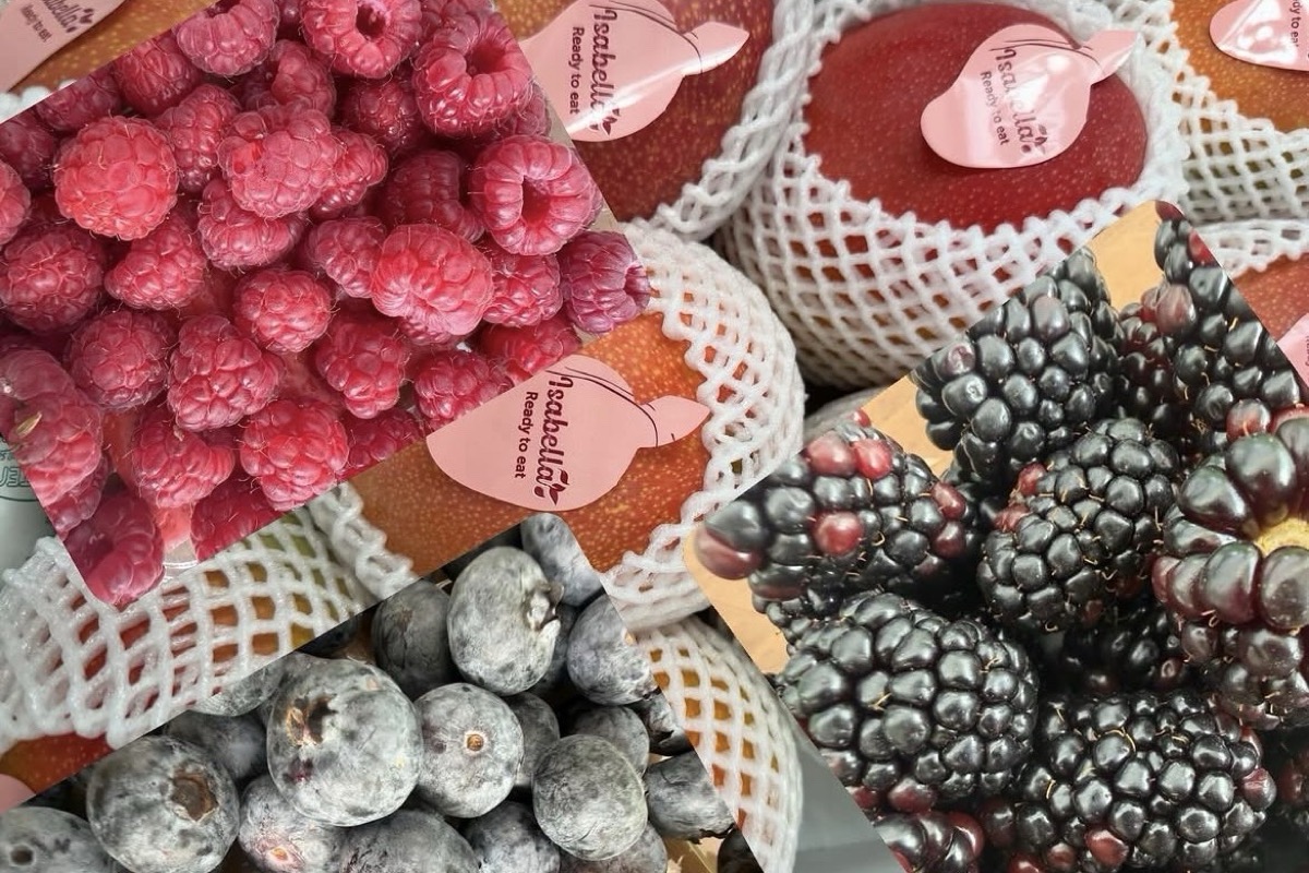 Frutas Calvo
