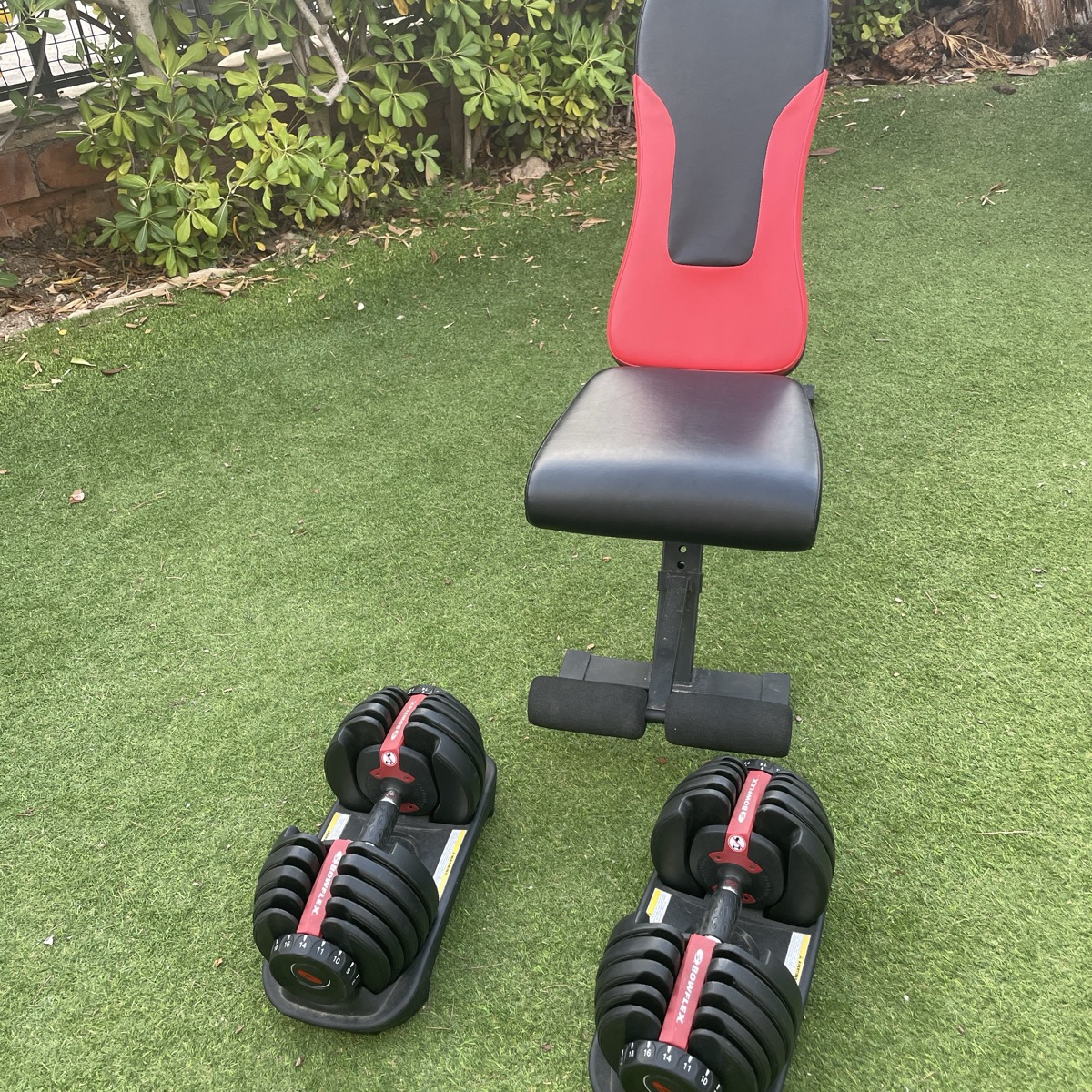 Estrenando las nuevas mancuernas