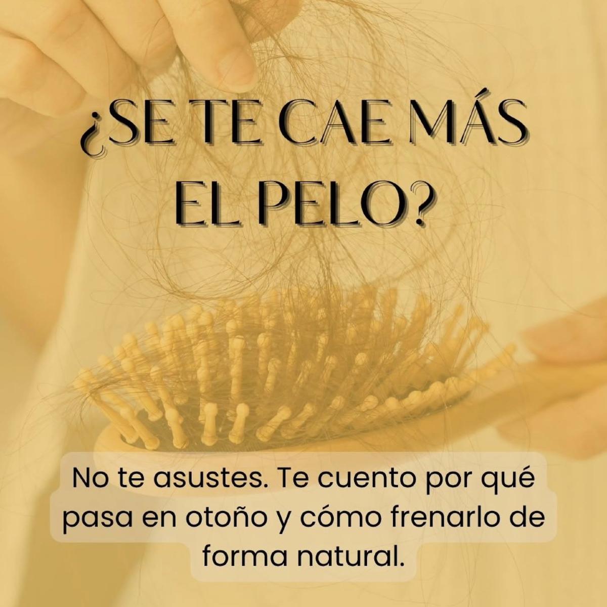 ¿Notas que dejas más pelo de lo normal en el cepillo? 💇🏻♀️ 🍂 ¡Que no cunda el…