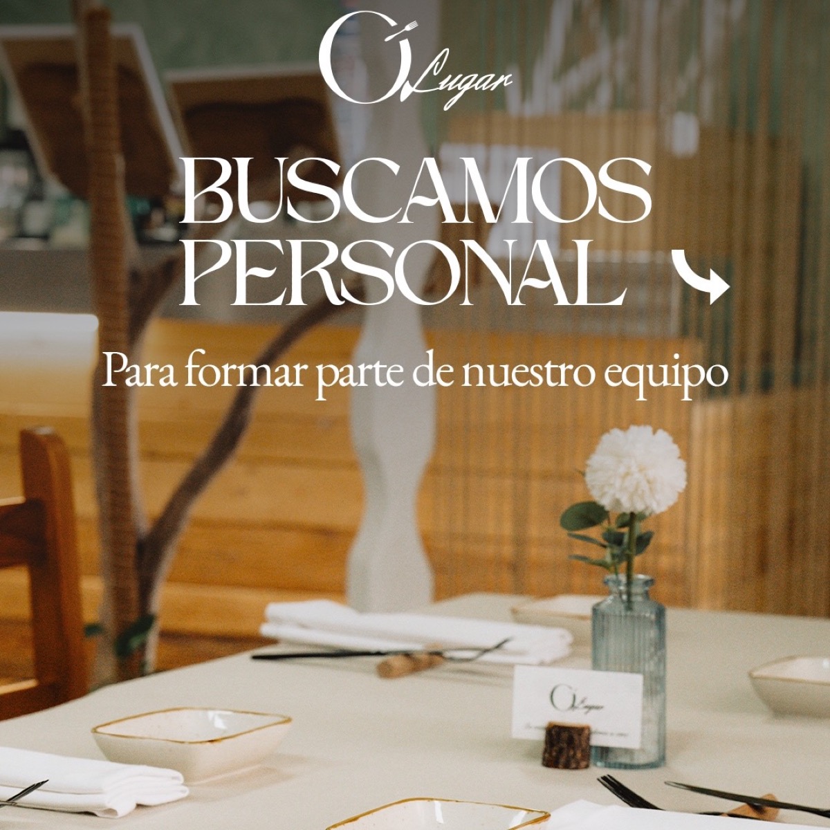 ¡Buscamos a alguien que quiera formar parte de O’Lugar! 🤎 Queremos ampliar nuestro…